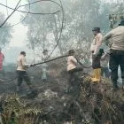 Polsek Kerumutan dibantu Personil Polres Pelalawan , RPK dan Masyarakat Padamkan Karhutla 5 Hektar di Wilayah Kerumutan