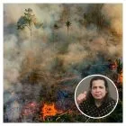 Ancaman Karhutla Mengintai Riau, APARI Desak Penegak Hukum Tindak Tegas Oknum Pembakar Lahan dan Tuntut Eksekusi Putusan PT SSS