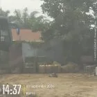 Kaget…!!! Wartawan Temukan Tumpukan Drigen Berisikan Solar Subsidi di Belakang Warung Kopi Km 5 Jalan Koridor PT RAPP