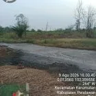 Dugaan Limbah Hitam Pekat Mengalir ke Sungai Kerumutan, PKS PT Karya Panen Terus Diminta Diperiksa