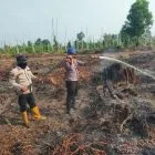 Pagi Hingga Petang, Tim Polres Pelalawan dan Gabungan Padamkan Karhutla di Kecamatan Kerumutan 