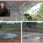 Perwakilan Warga Datangi AJPLH Pelalawan, Tuntut Pemeriksaan Menyeluruh dan Akan Gelar Aksi Massa