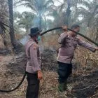 Polsek Pangkalan Kerinci Padamkan Karhutla 1/4 Hektar di Koridor RAPP Km 8